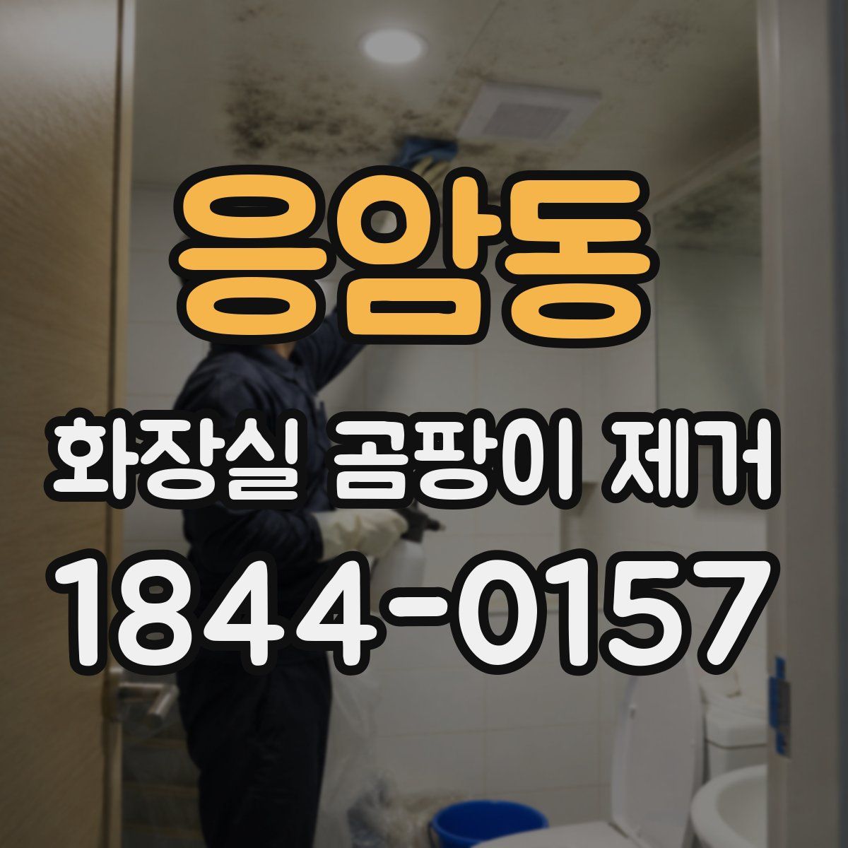 응암동 화장실 곰팡이 제거
