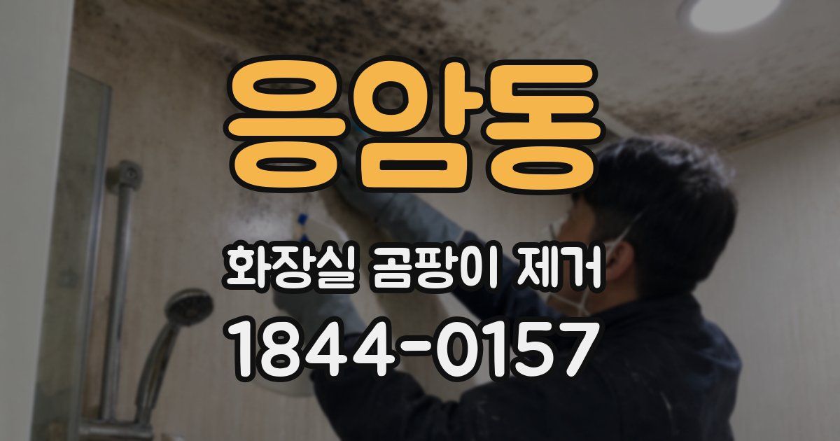 응암동 화장실 곰팡이 제거