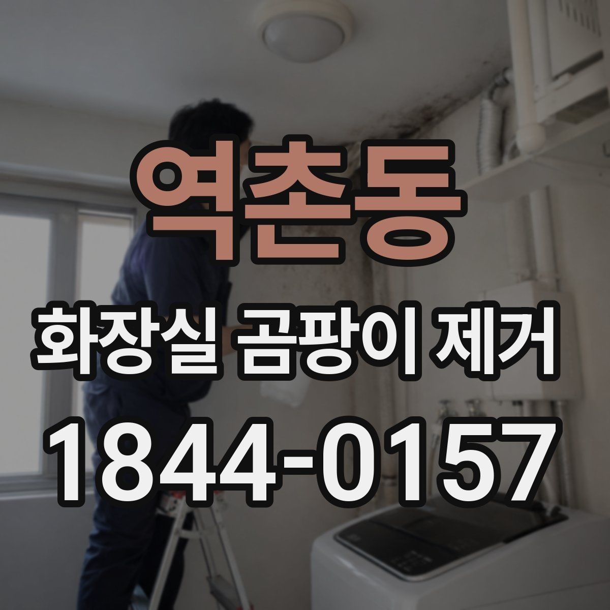 역촌동 화장실 곰팡이 제거 환기 부족이 남기는 흔적과 대처 방법