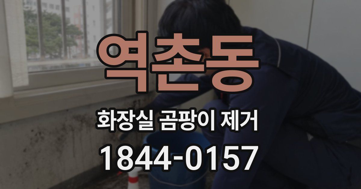 역촌동 화장실 곰팡이 제거