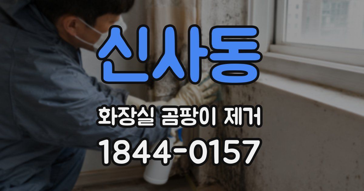 신사동 화장실 곰팡이 제거