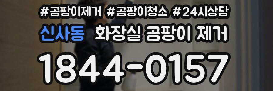 신사동 화장실 곰팡이 제거