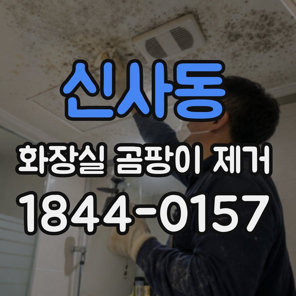 신사동 화장실 곰팡이 제거