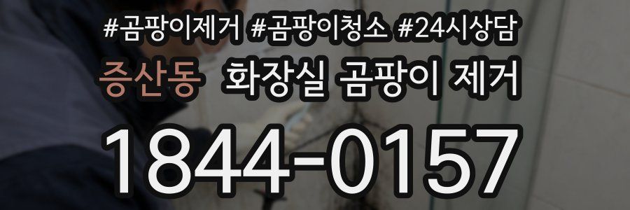 증산동 화장실 곰팡이 제거