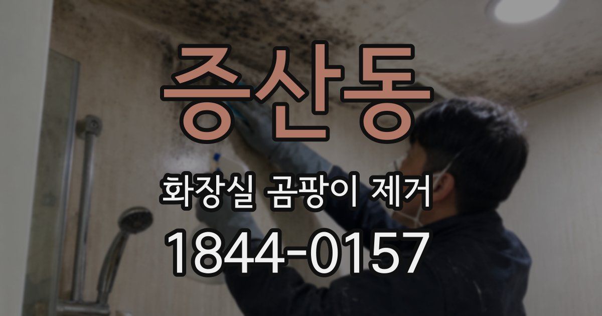 증산동 화장실 곰팡이 제거