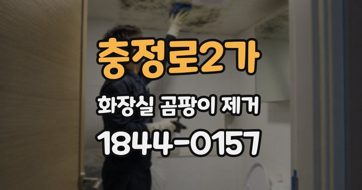 충정로2가 화장실 곰팡이 제거