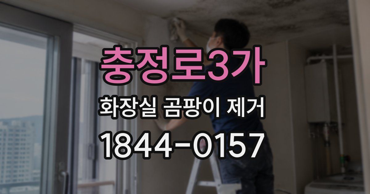 충정로3가 화장실 곰팡이 제거