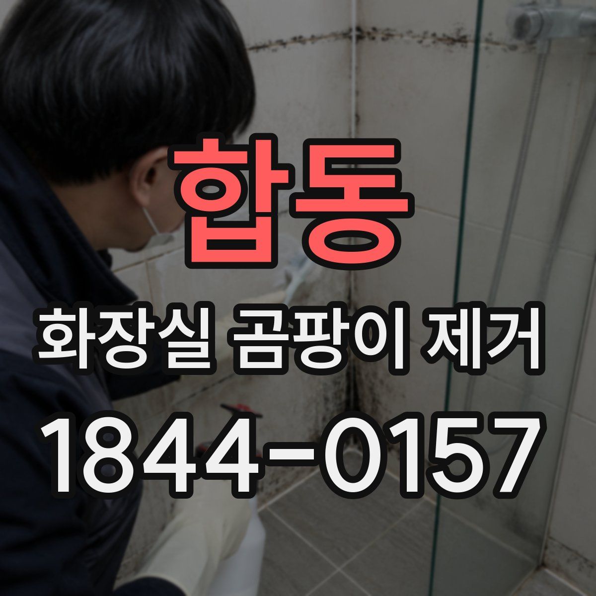 합동 화장실 곰팡이 제거