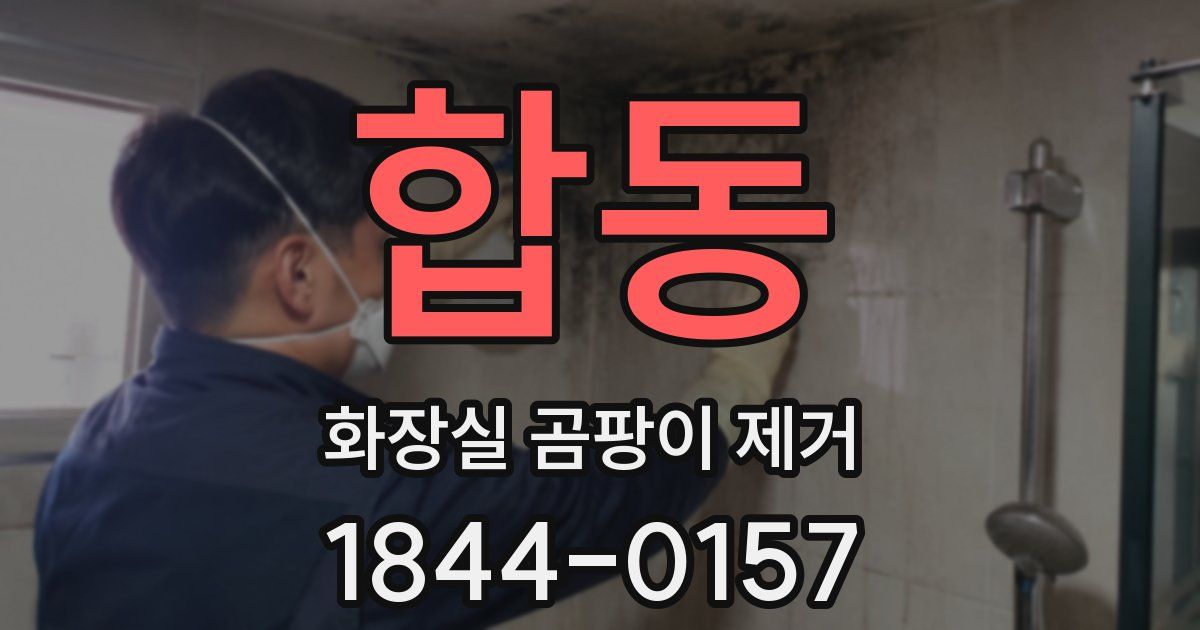 합동 화장실 곰팡이 제거