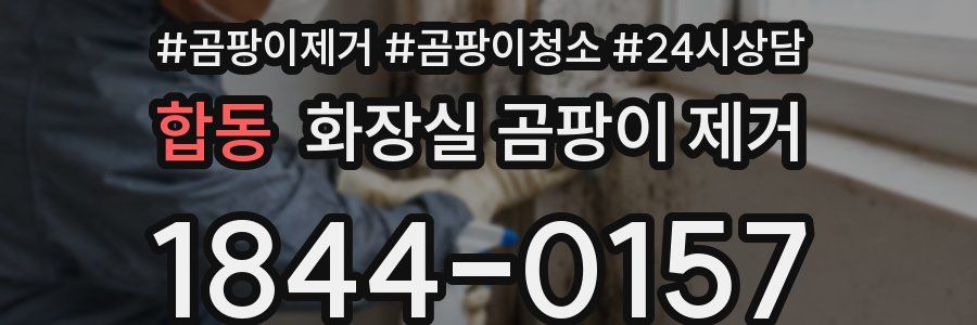 합동 화장실 곰팡이 제거