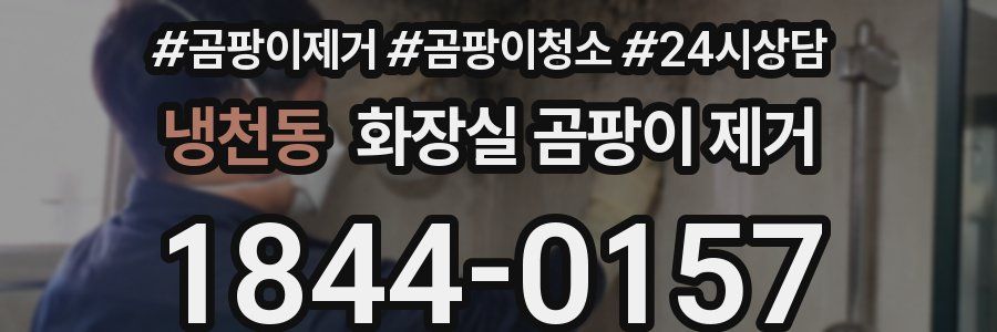 냉천동 화장실 곰팡이 제거