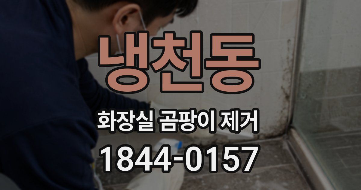 냉천동 화장실 곰팡이 제거