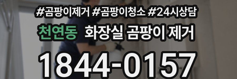 천연동 화장실 곰팡이 제거
