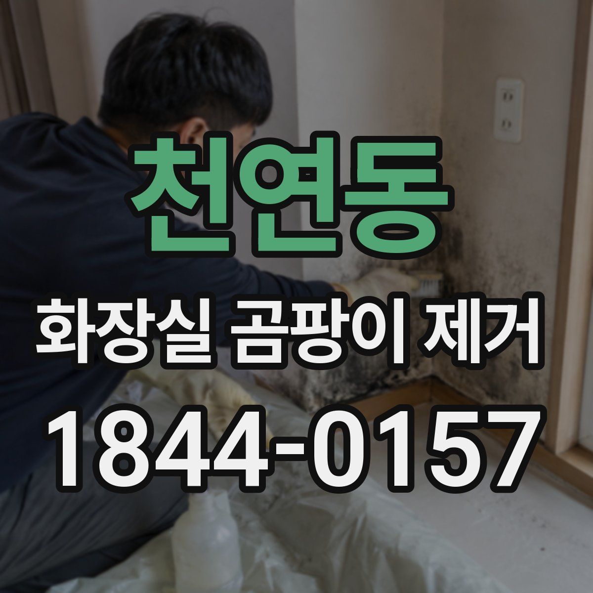 천연동 화장실 곰팡이 제거