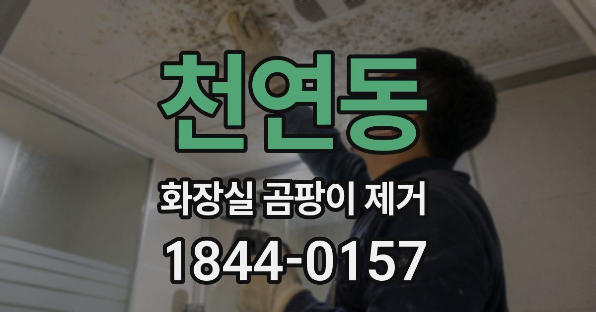 천연동 화장실 곰팡이 제거
