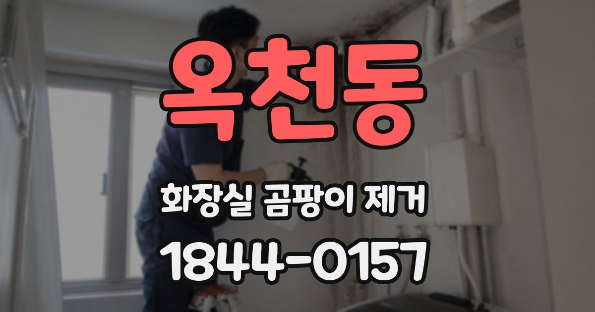 옥천동 화장실 곰팡이 제거