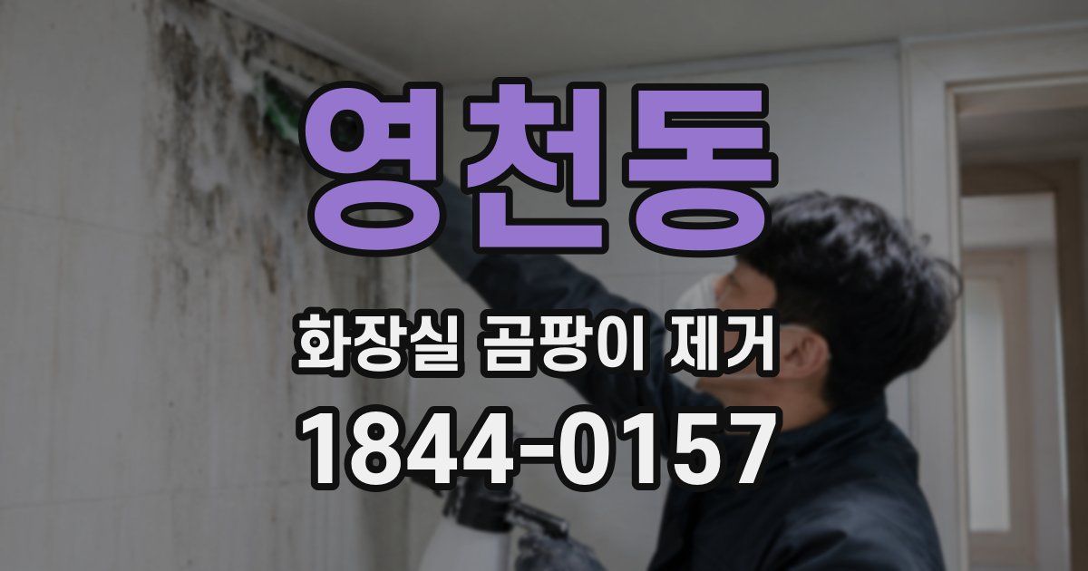 영천동 화장실 곰팡이 제거