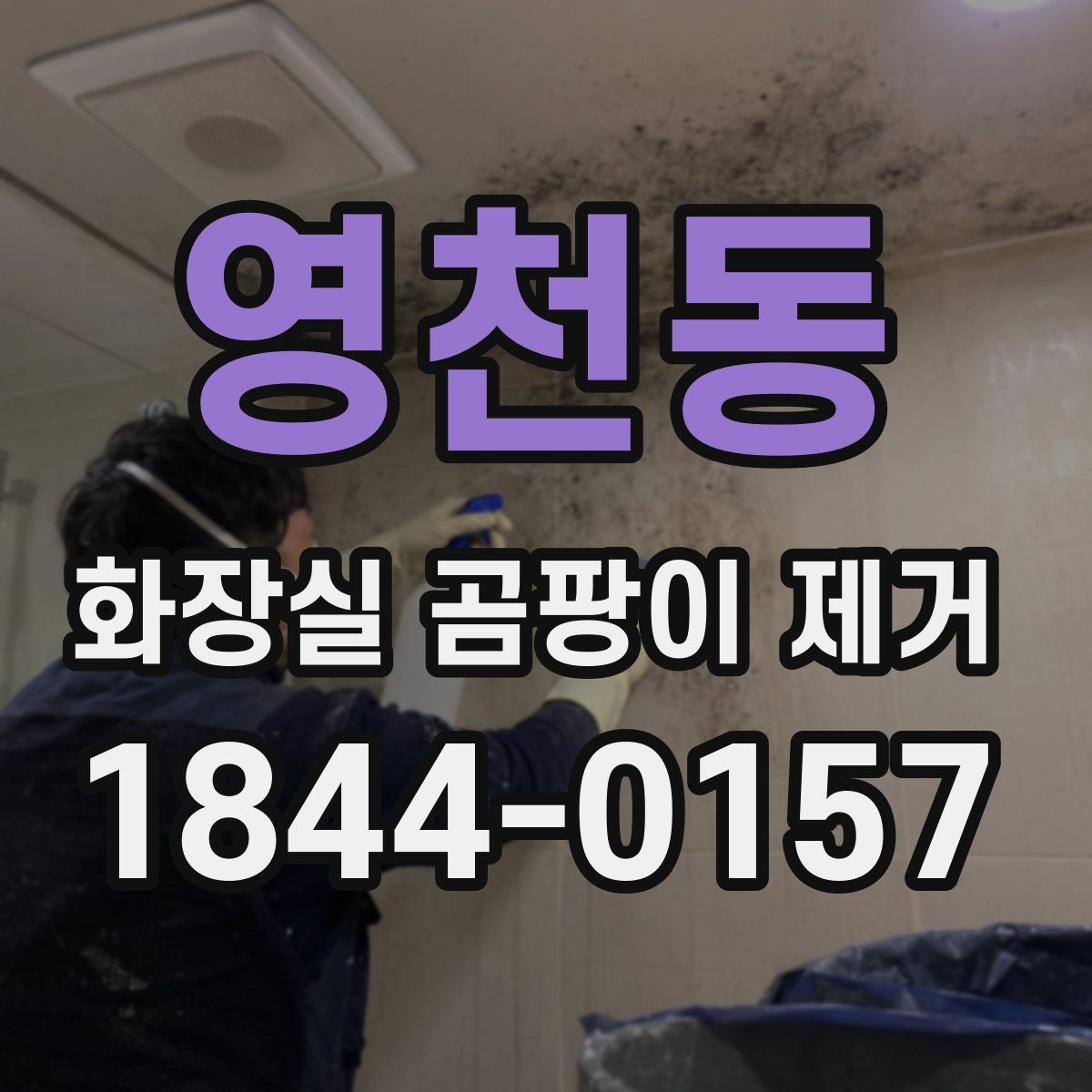 영천동 화장실 곰팡이 제거