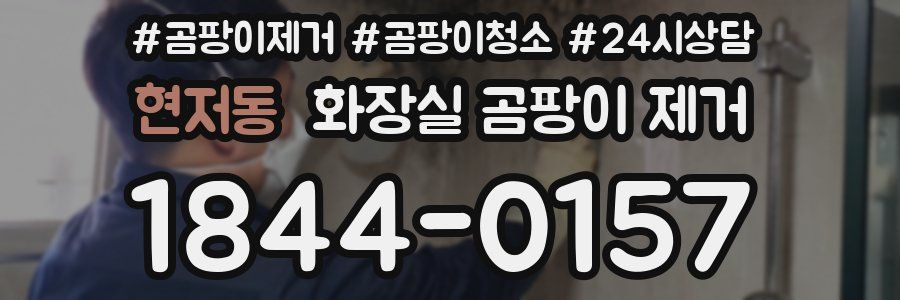 현저동 화장실 곰팡이 제거