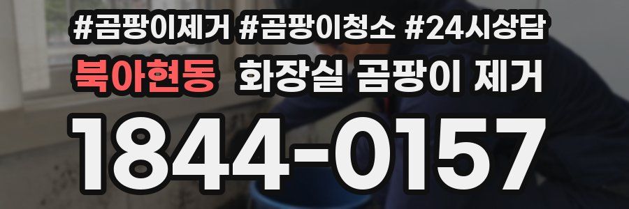 북아현동 화장실 곰팡이 제거