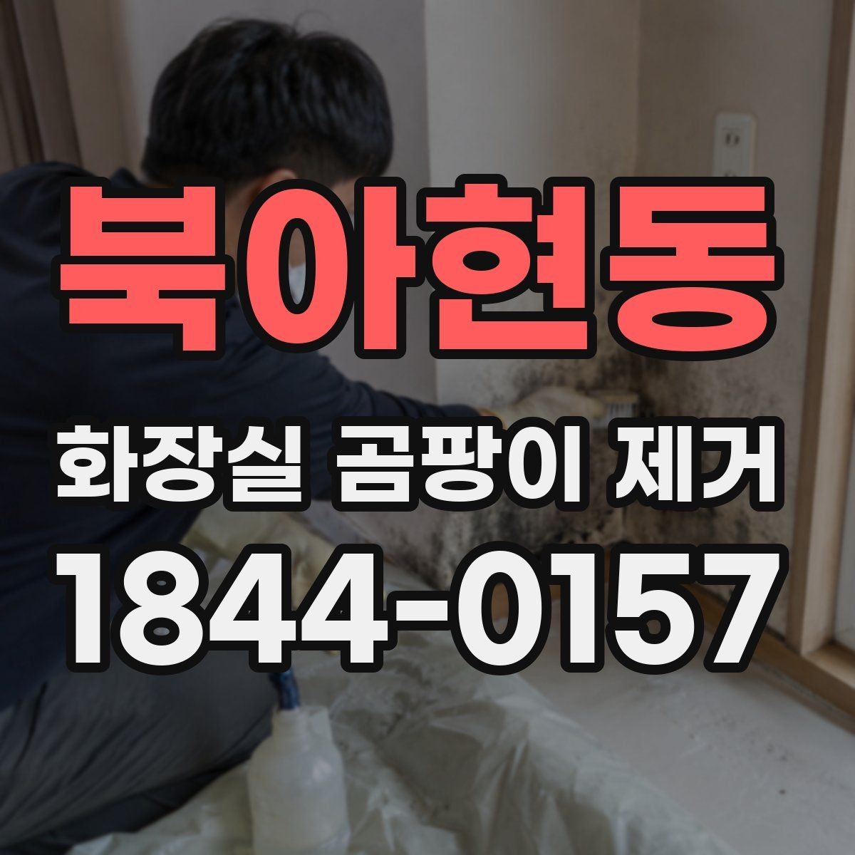 북아현동 화장실 곰팡이 제거