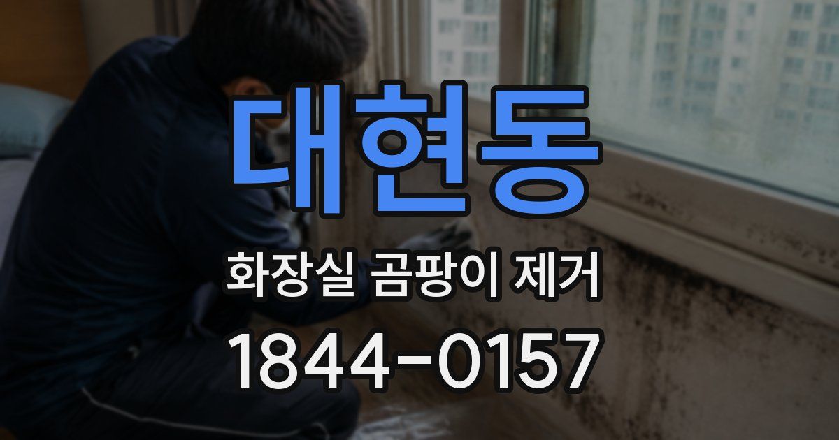대현동 화장실 곰팡이 제거