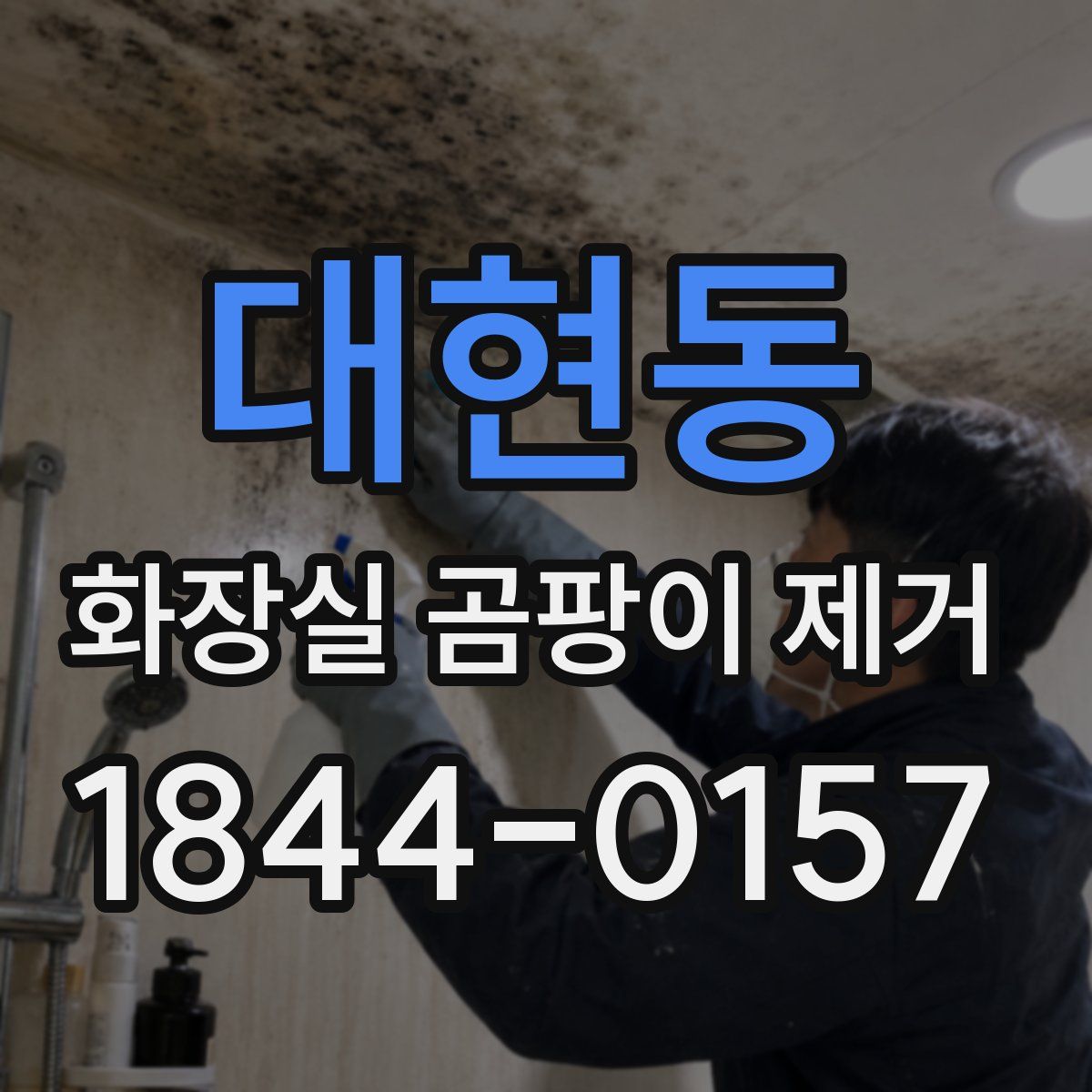 대현동 화장실 곰팡이 제거