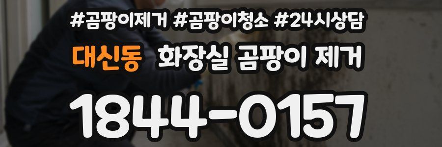 대신동 화장실 곰팡이 제거