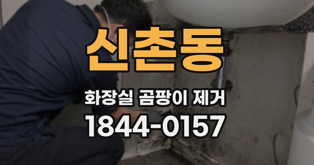 신촌동 화장실 곰팡이 제거