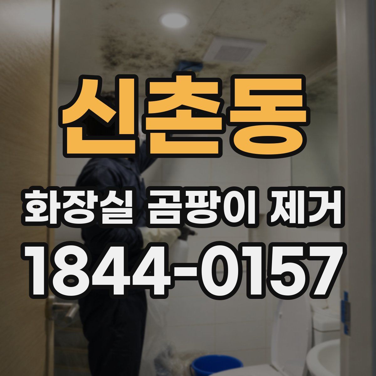 신촌동 화장실 곰팡이 제거