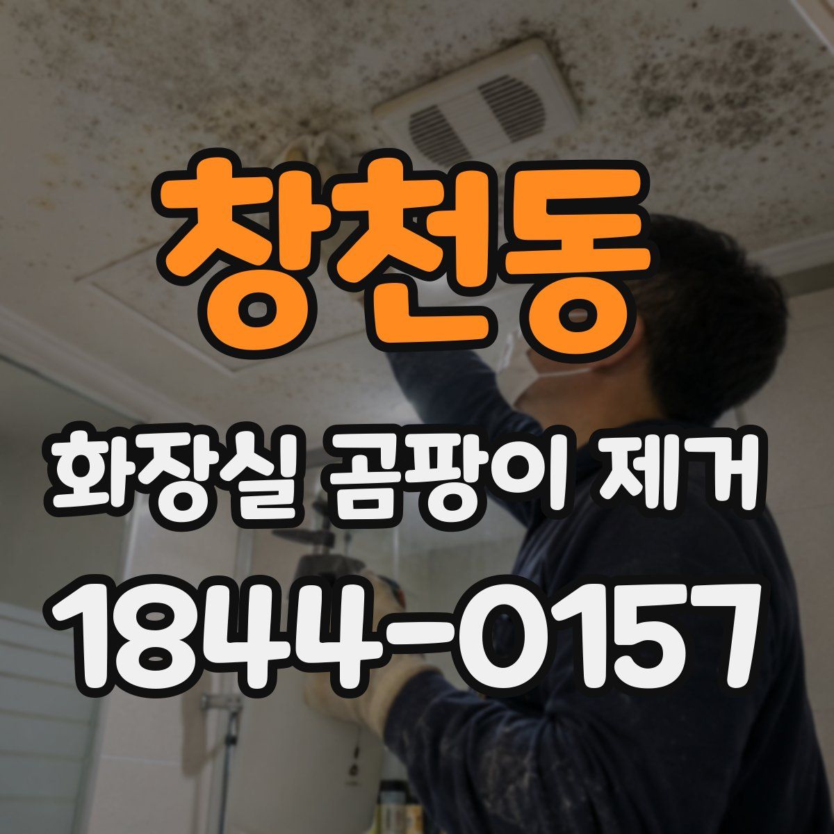 창천동 화장실 곰팡이 제거