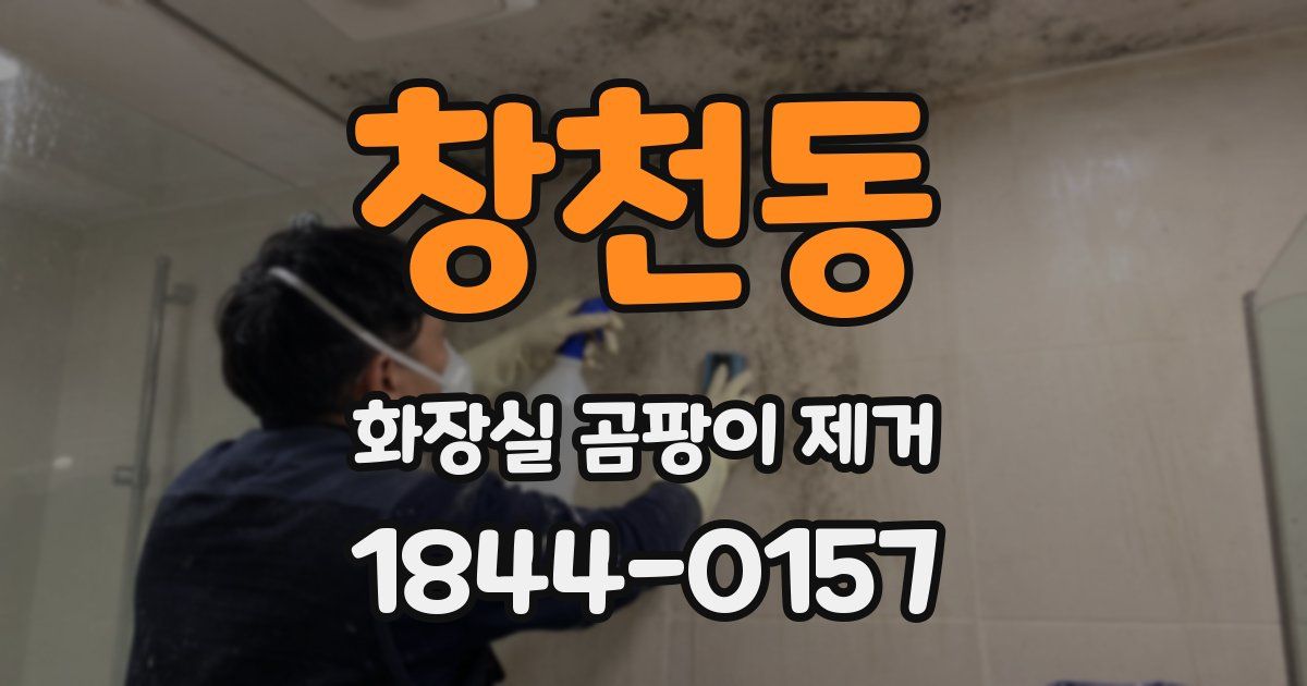 창천동 화장실 곰팡이 제거