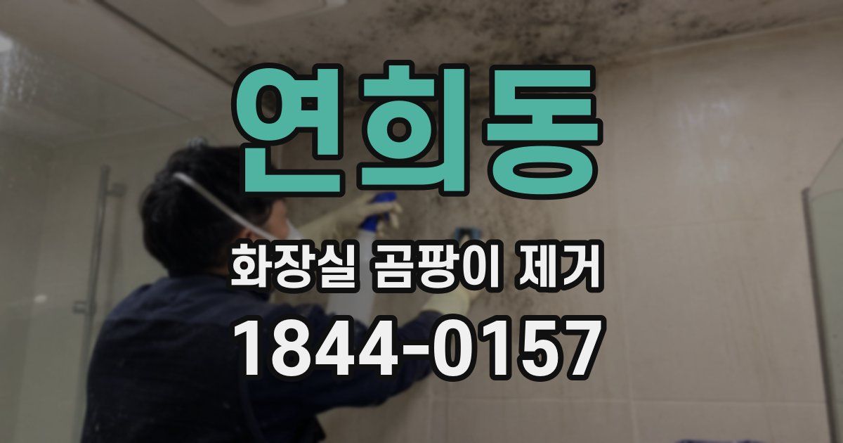 연희동 화장실 곰팡이 제거