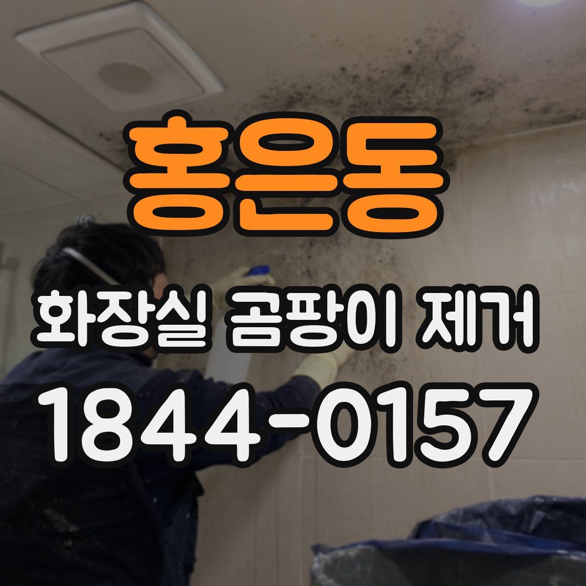 홍은동 화장실 곰팡이 제거