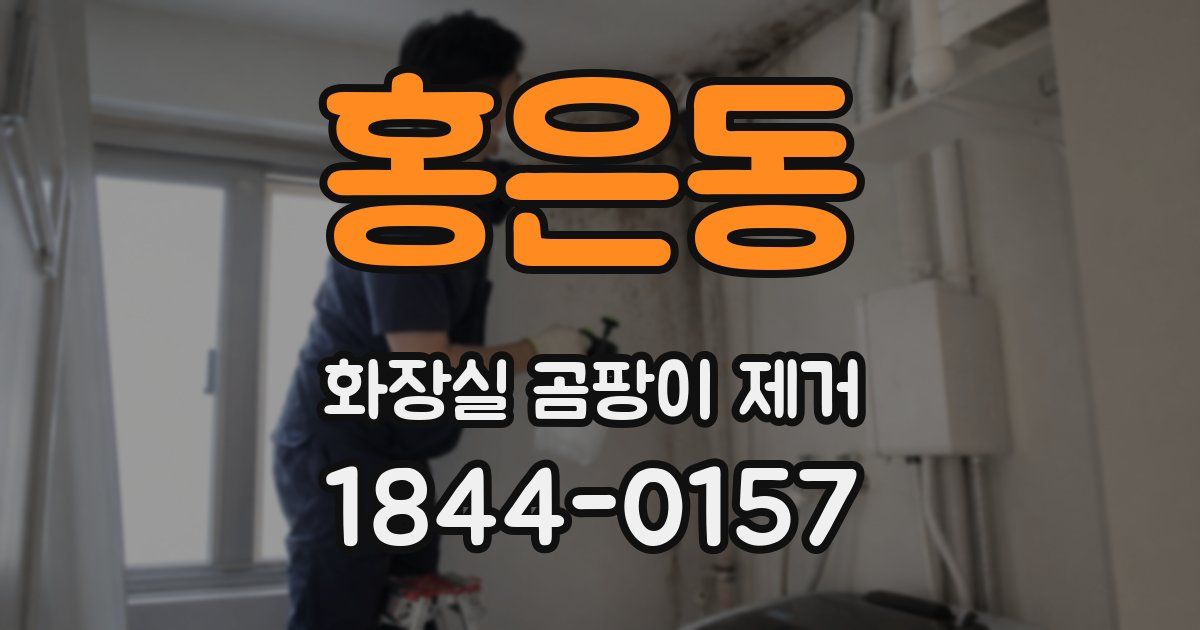 홍은동 화장실 곰팡이 제거