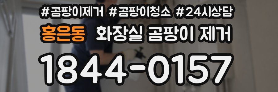 홍은동 화장실 곰팡이 제거