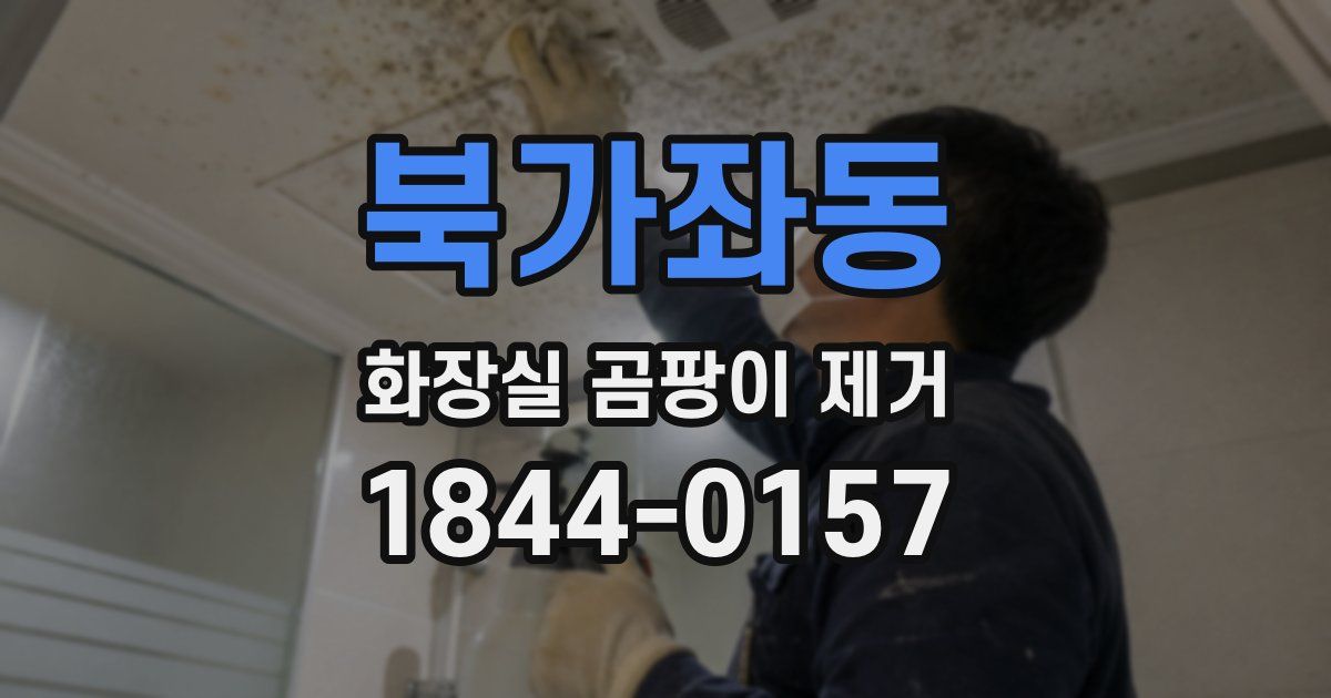 북가좌동 화장실 곰팡이 제거