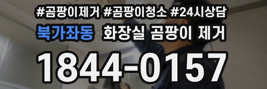북가좌동 화장실 곰팡이 제거