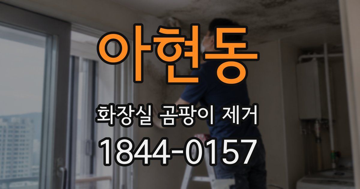 아현동 화장실 곰팡이 제거