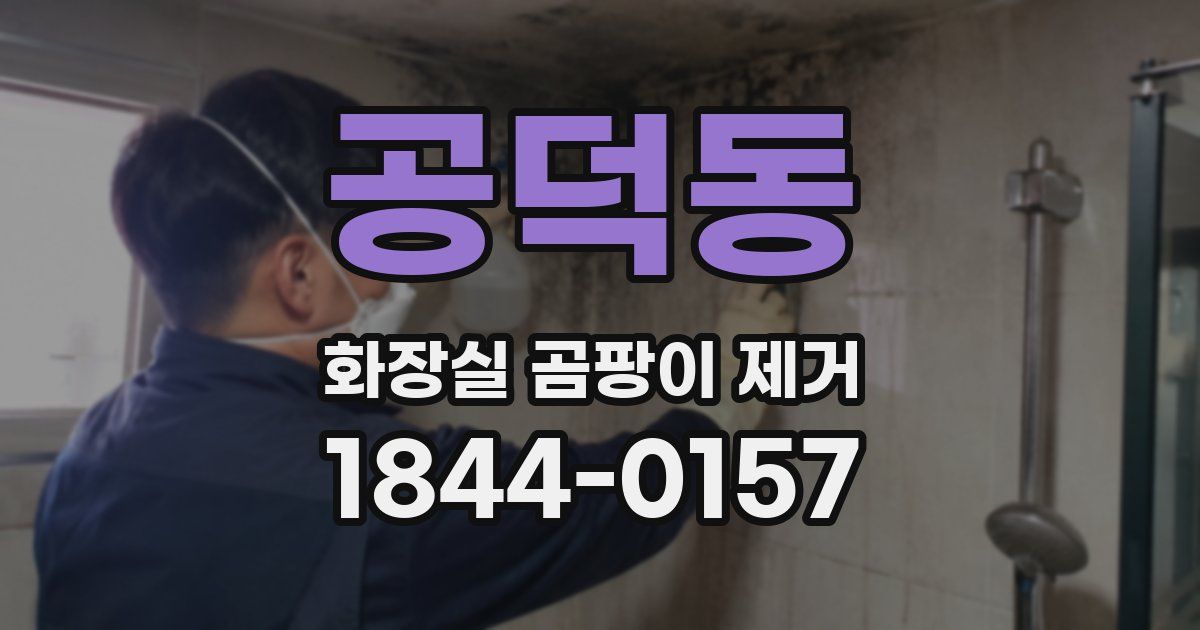 공덕동 화장실 곰팡이 제거