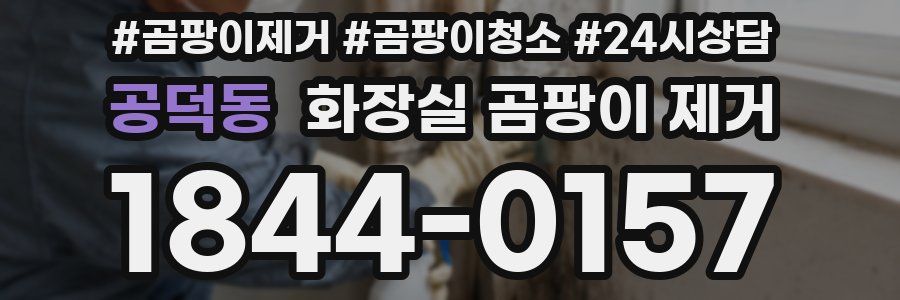 공덕동 화장실 곰팡이 제거