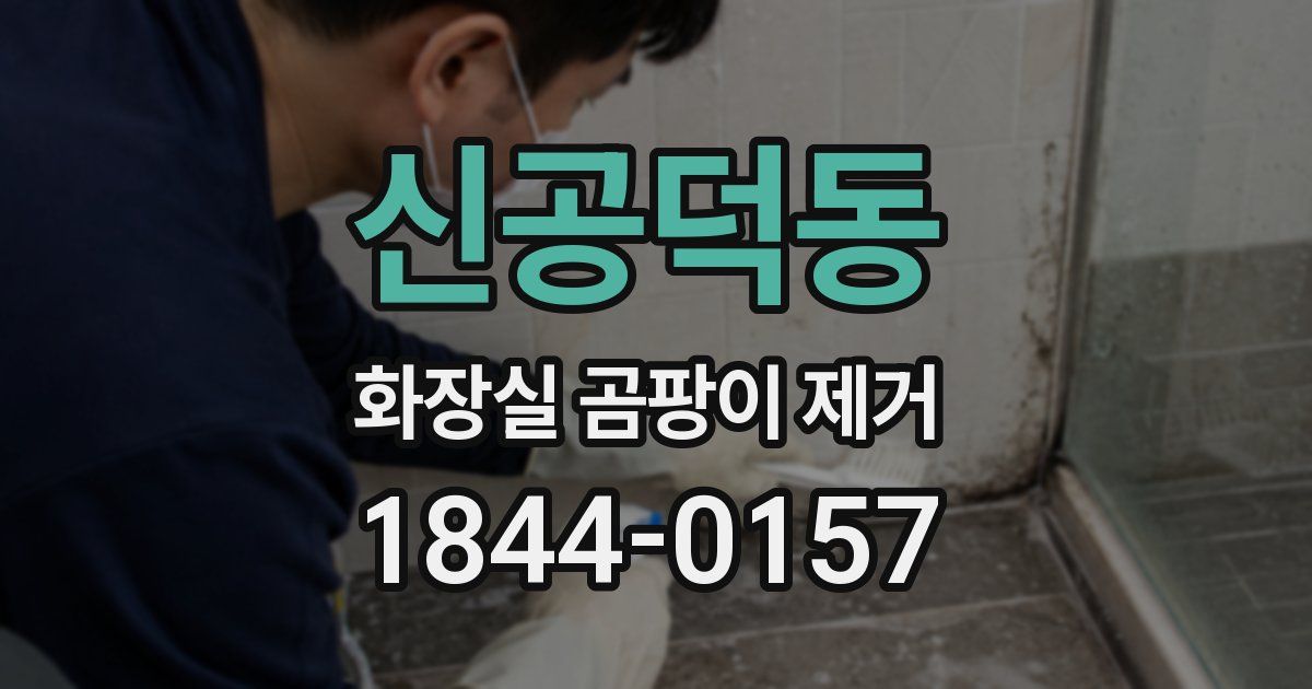 신공덕동 화장실 곰팡이 제거