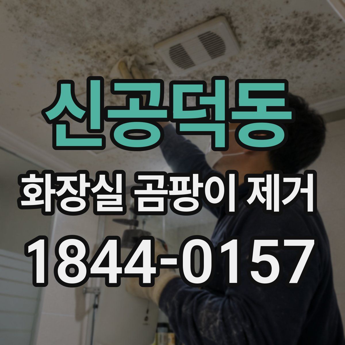 신공덕동 화장실 곰팡이 제거