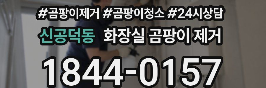 신공덕동 화장실 곰팡이 제거