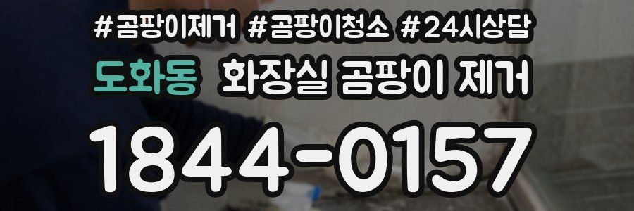도화동 화장실 곰팡이 제거