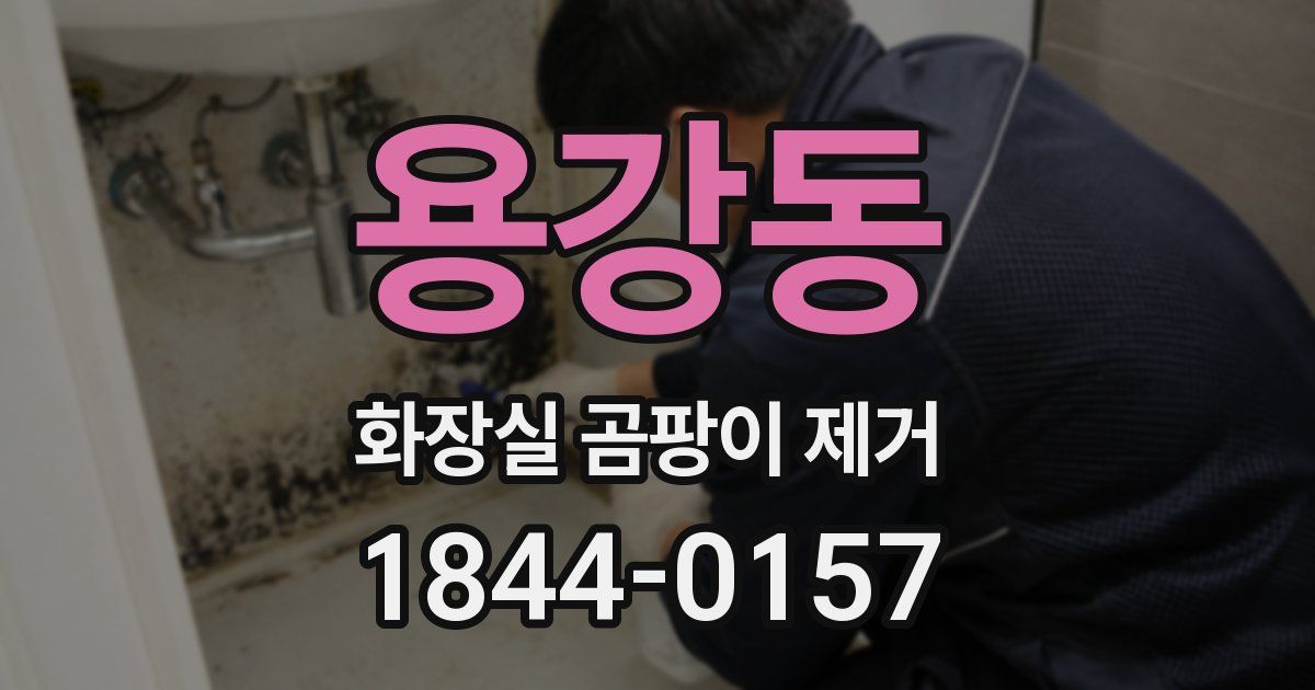 용강동 화장실 곰팡이 제거