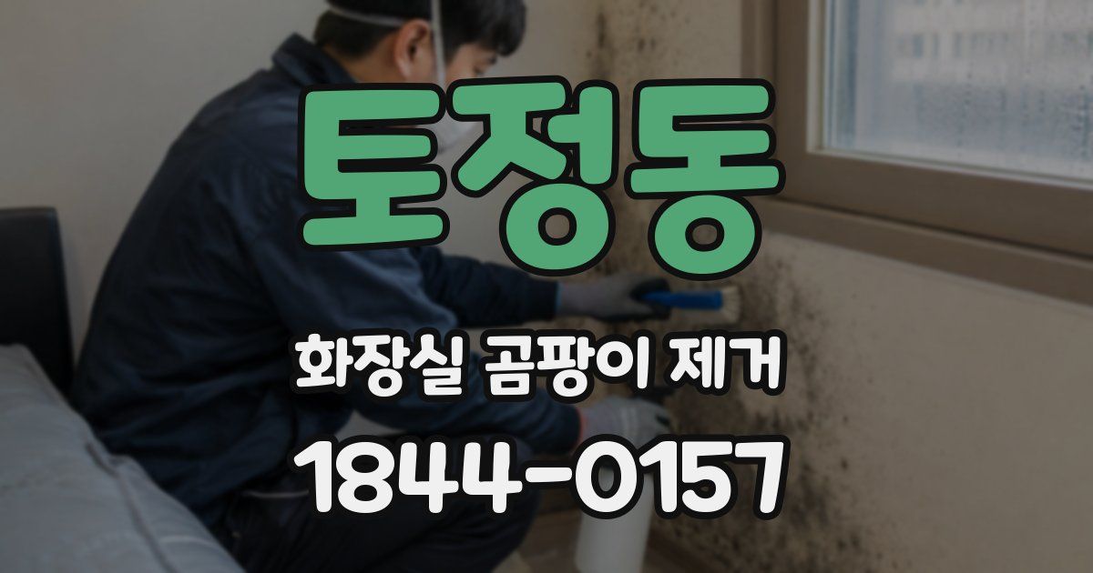 토정동 화장실 곰팡이 제거