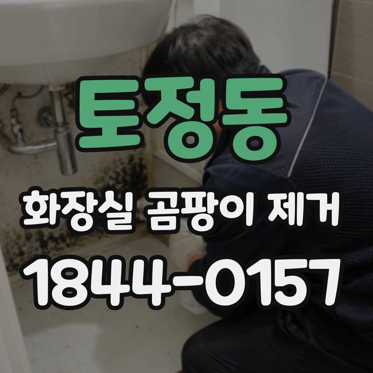 토정동 화장실 곰팡이 제거