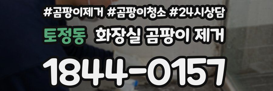 토정동 화장실 곰팡이 제거