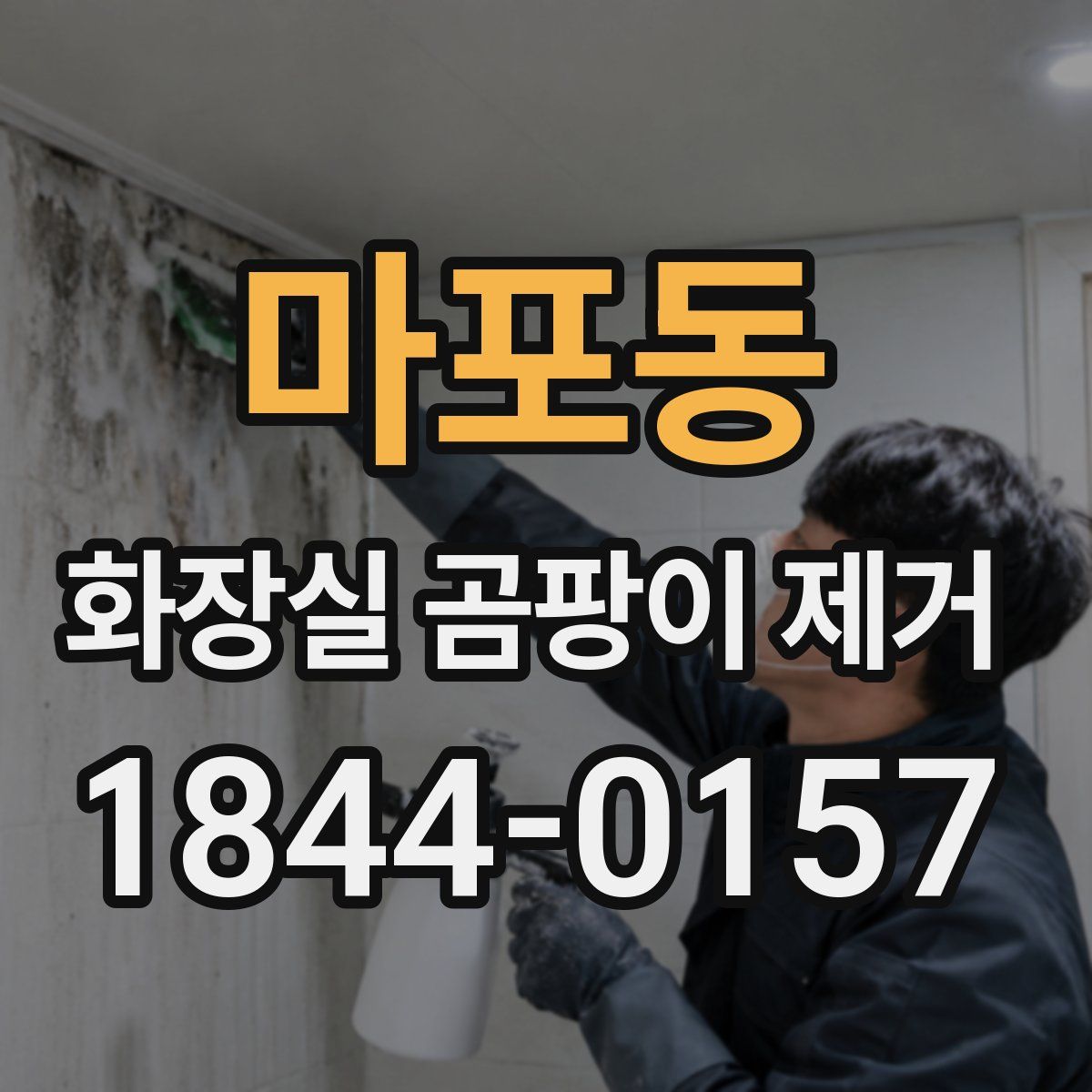 마포동 화장실 곰팡이 제거